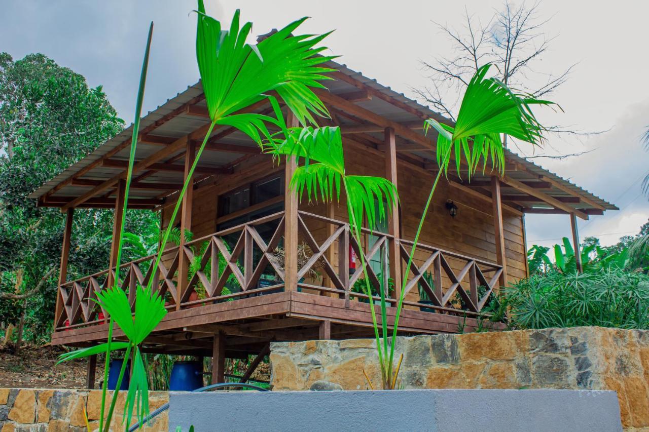 Eden Valley Ecolodge And Farming Madalena Екстериор снимка