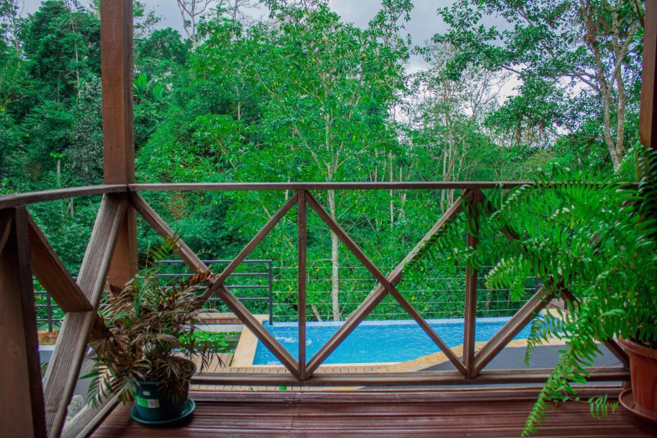 Eden Valley Ecolodge And Farming Madalena Екстериор снимка
