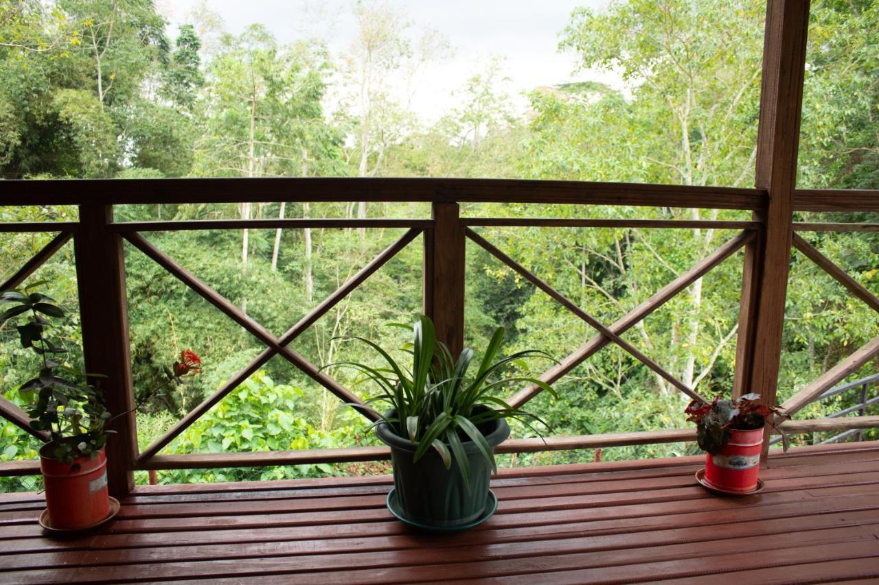 Eden Valley Ecolodge And Farming Madalena Екстериор снимка
