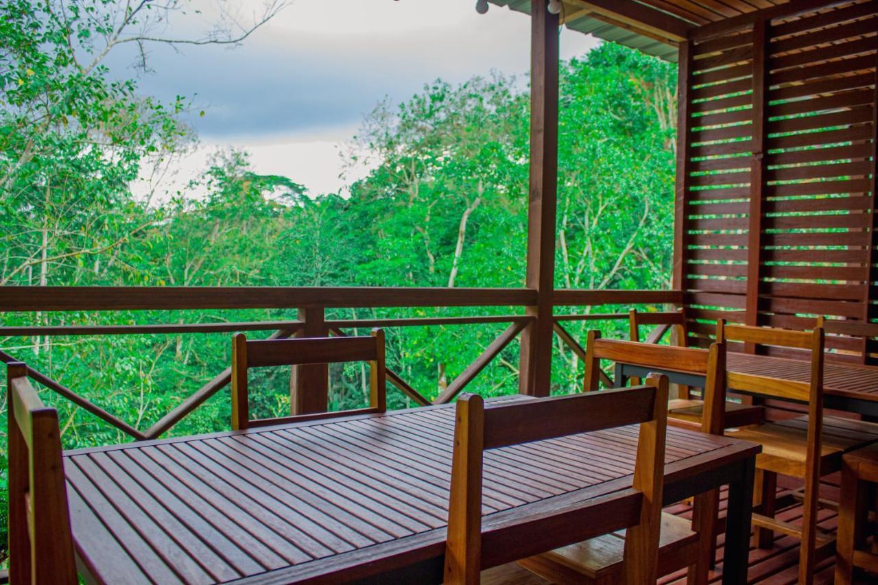 Eden Valley Ecolodge And Farming Madalena Екстериор снимка