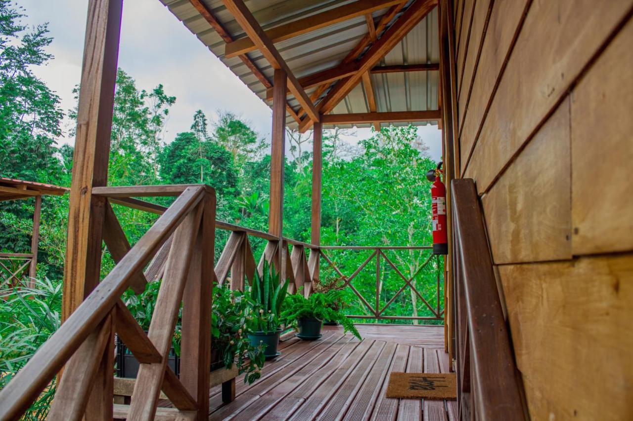 Eden Valley Ecolodge And Farming Madalena Екстериор снимка