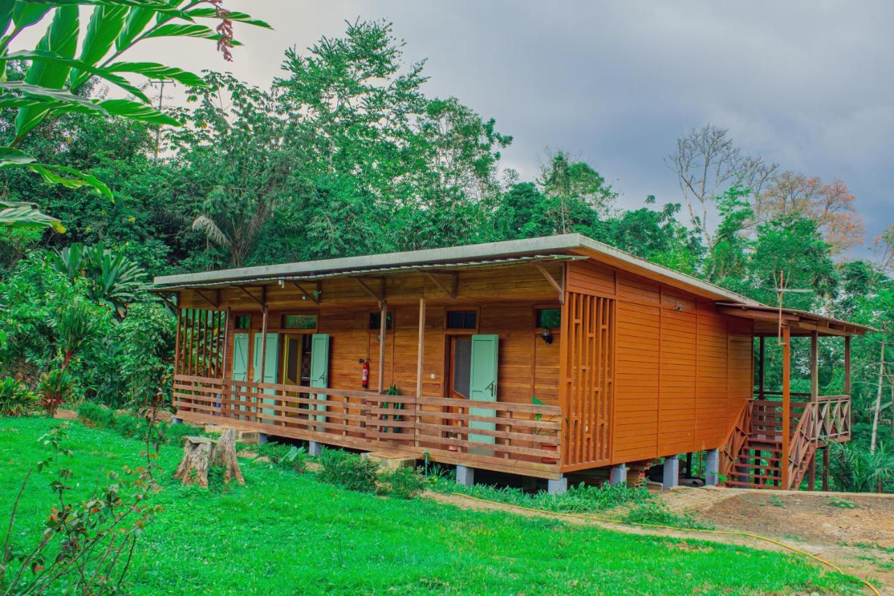 Eden Valley Ecolodge And Farming Madalena Екстериор снимка