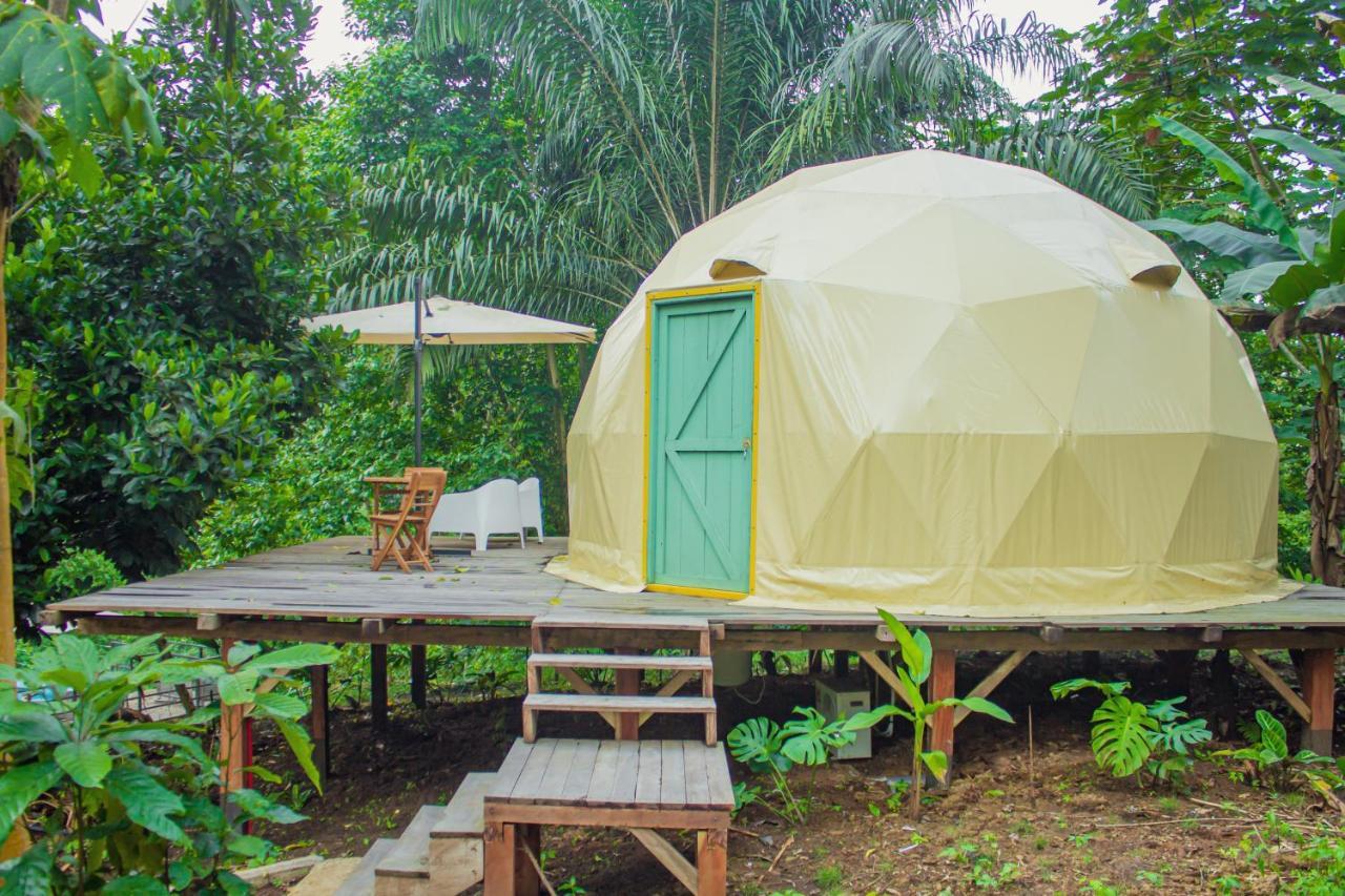 Eden Valley Ecolodge And Farming Madalena Екстериор снимка