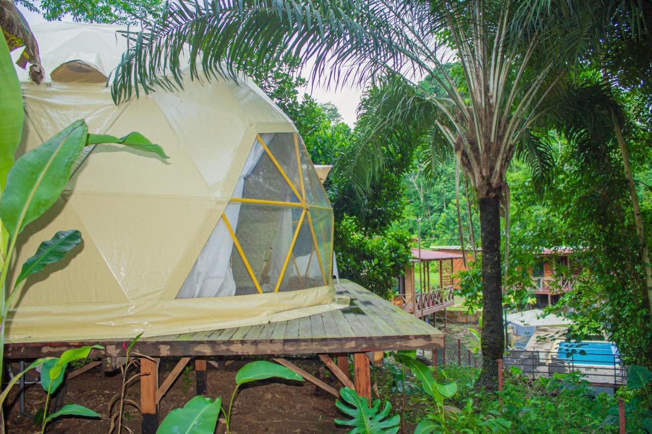 Eden Valley Ecolodge And Farming Madalena Екстериор снимка