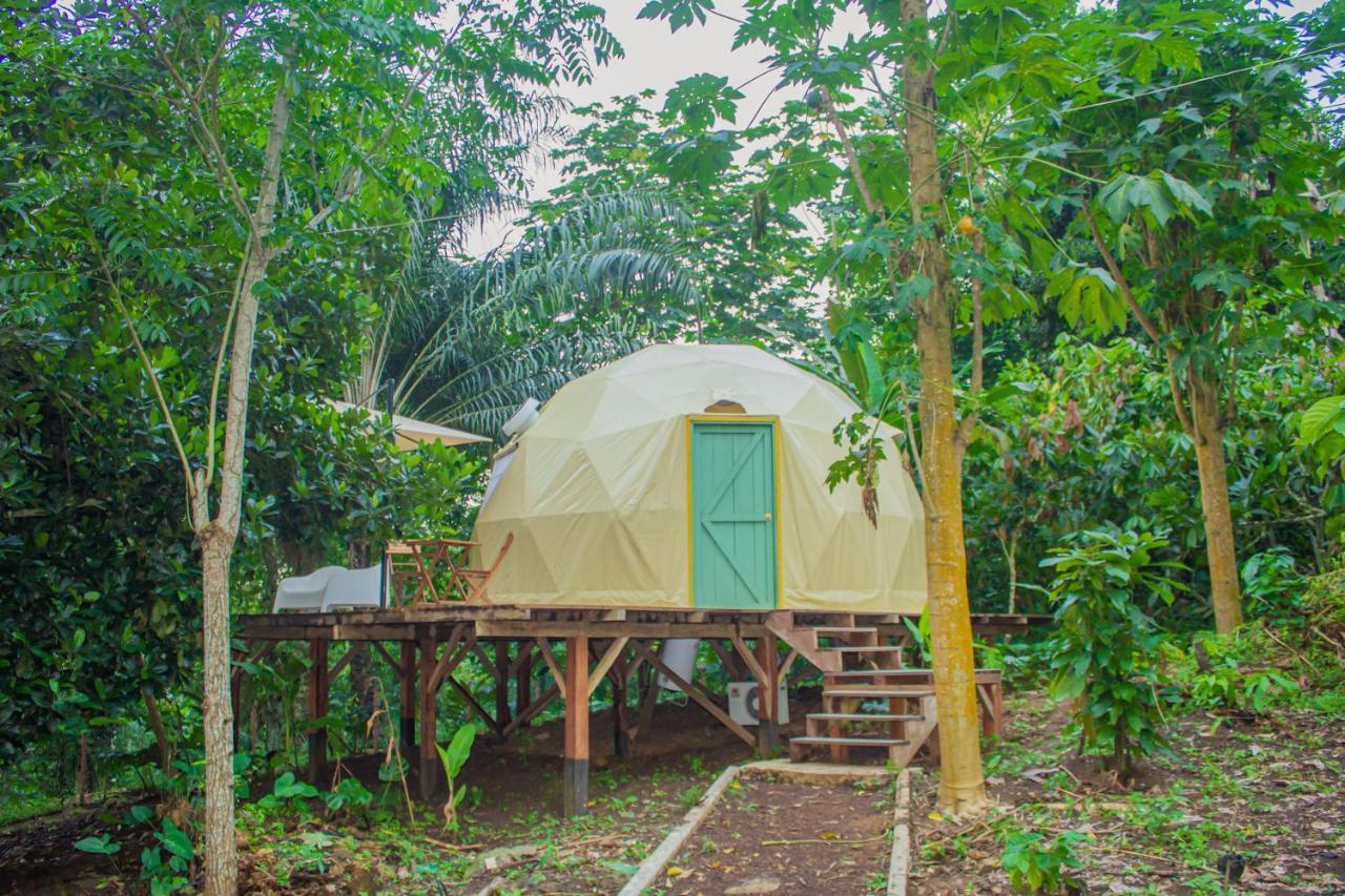 Eden Valley Ecolodge And Farming Madalena Екстериор снимка