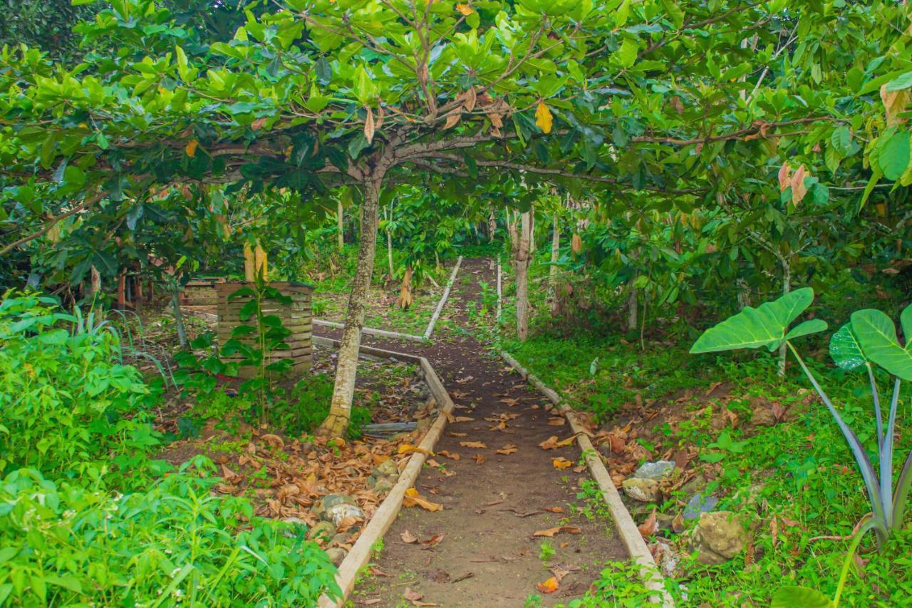 Eden Valley Ecolodge And Farming Madalena Екстериор снимка