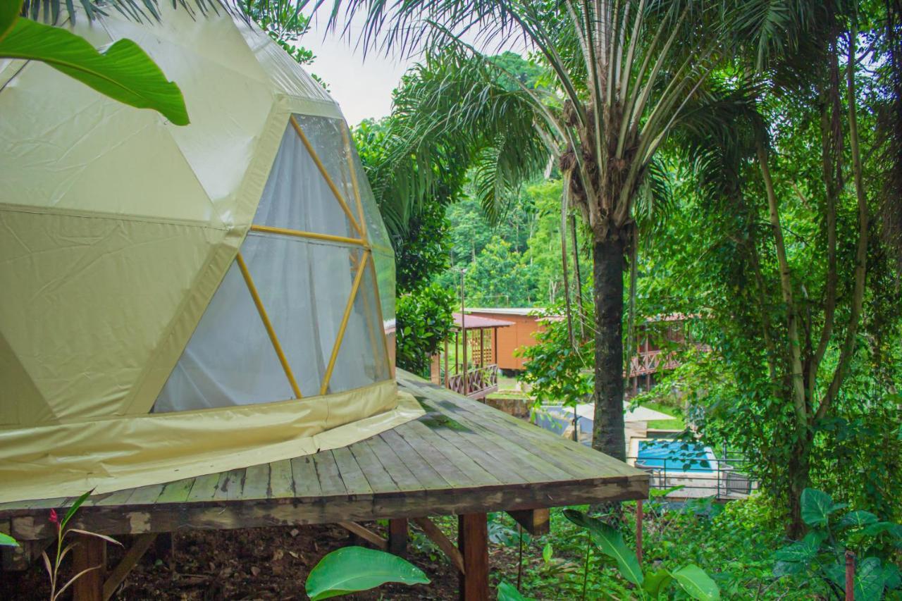 Eden Valley Ecolodge And Farming Madalena Екстериор снимка