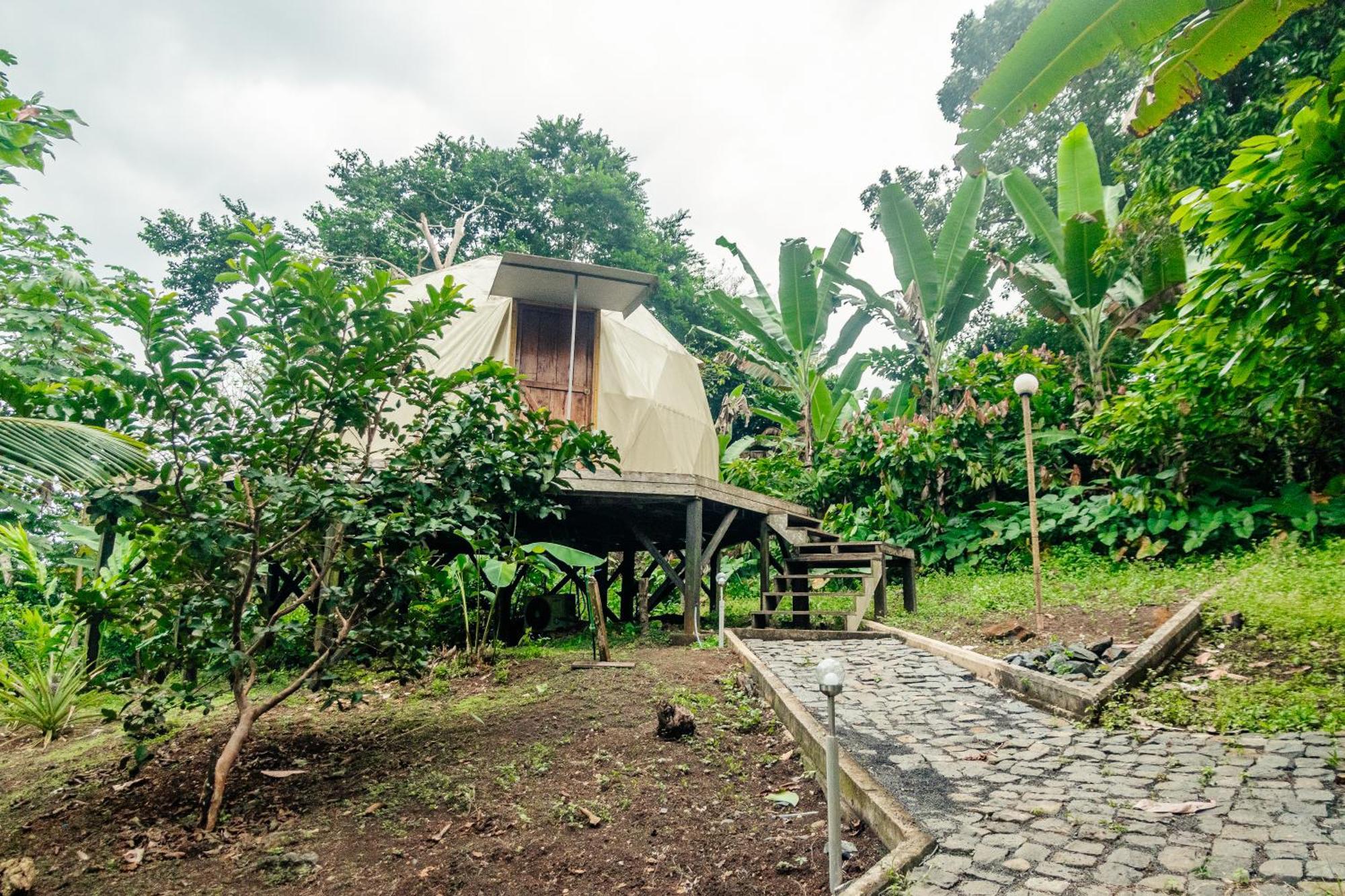 Eden Valley Ecolodge And Farming Madalena Екстериор снимка